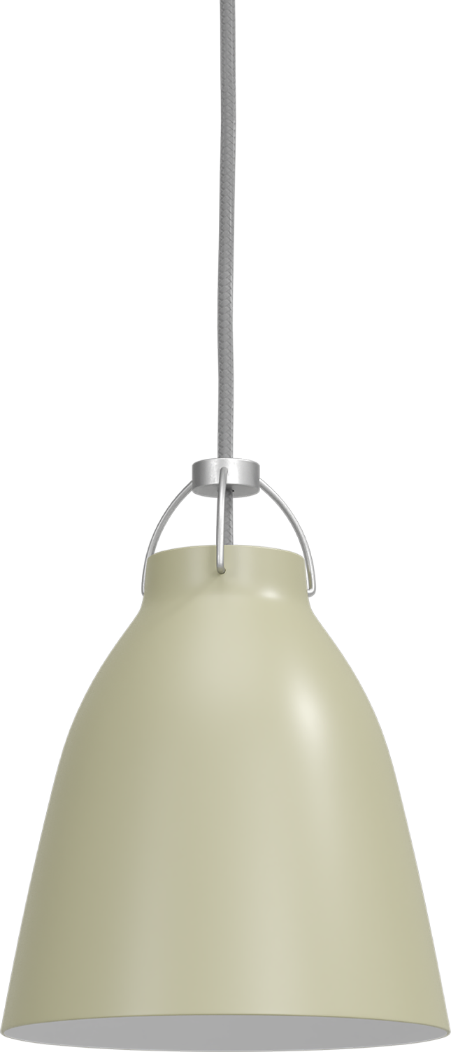 イチジク苗木　「　CARAVAGGIO　」9-91 いちじくの苗木一覧 | 【モンベルジェ】果樹苗木・生果・農業資材の