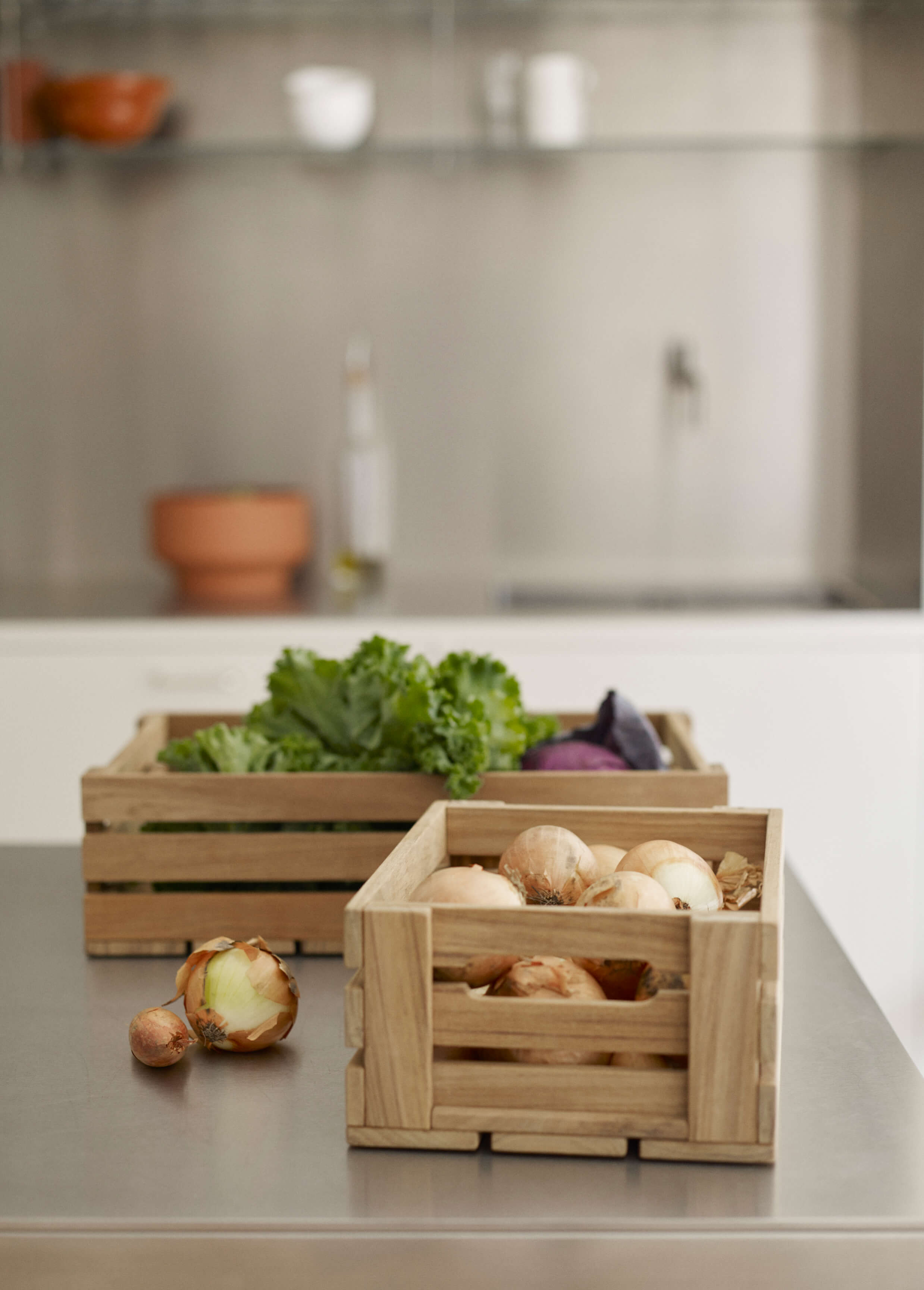 Dania Box